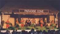 �Ѱ��W�|����Ƨ� Paradise Cove Luau Show